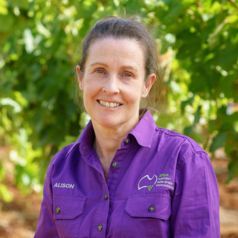 Alison MacGregor image