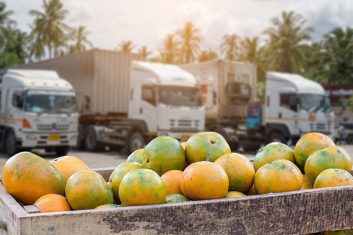 Commercial fruit transport image