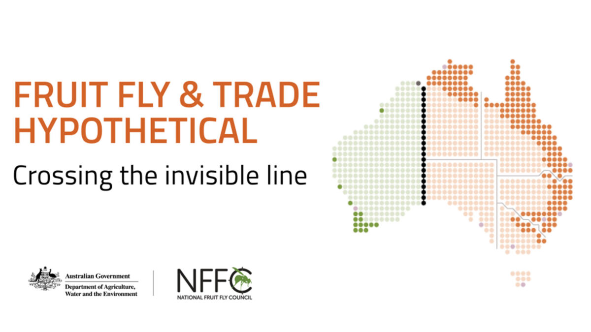 Fruit fly and trade Hypotheticals image