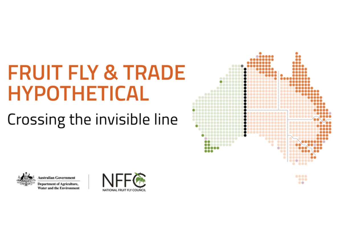 Fruit fly and trade Hypotheticals image