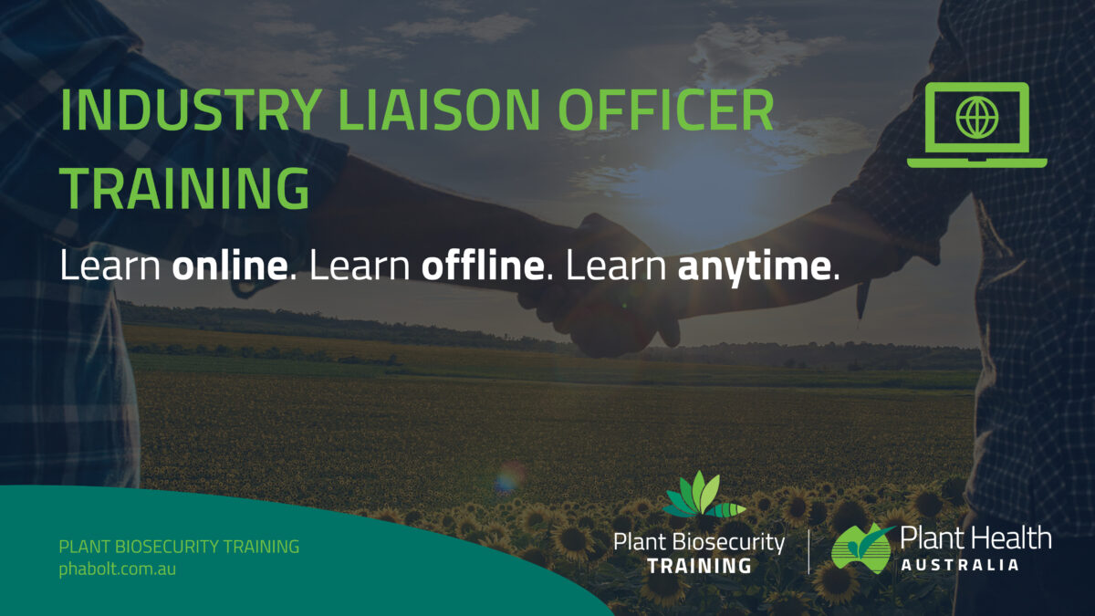 Online ILO training goes live image