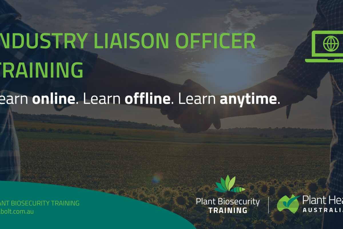 Online ILO training goes live image