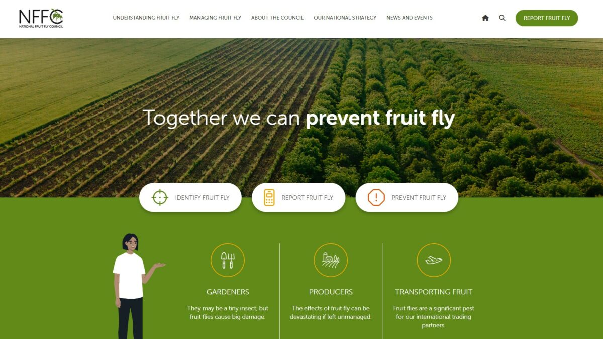 NFFC unveils new web design image