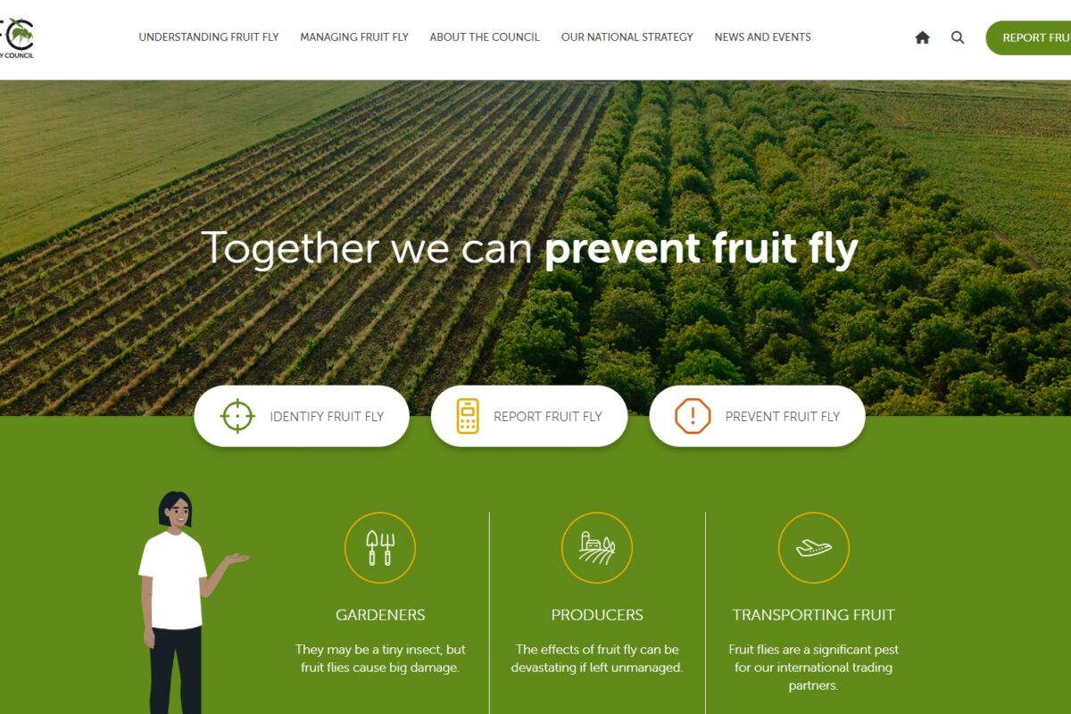 NFFC unveils new web design image