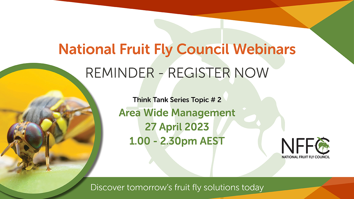 Think Tank webinar #2: Area Wide Management image