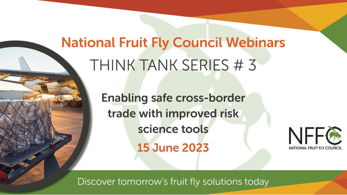 NFFC Think Tank Series – Webinar 3 image