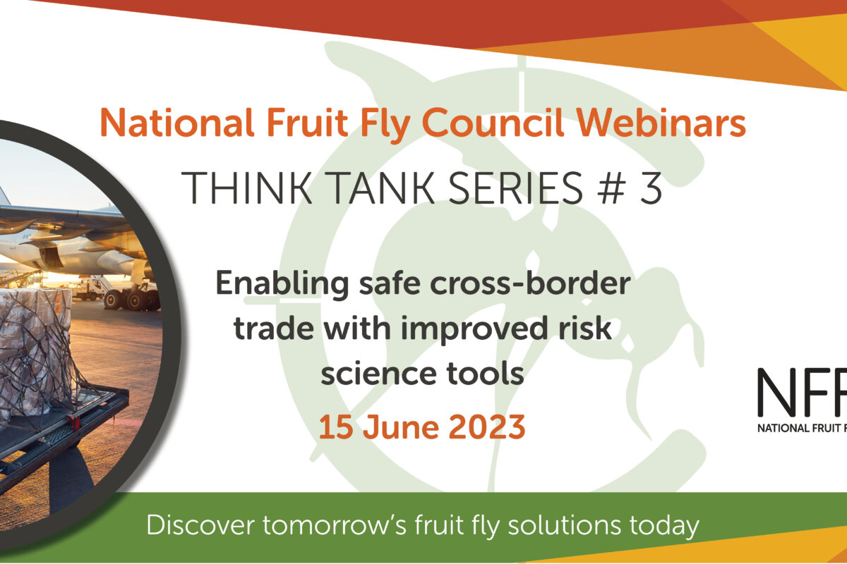 NFFC Think Tank Series – Webinar 3 image