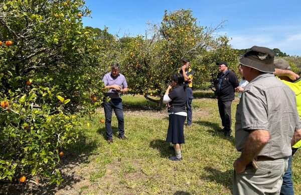 Fruit fly workshop with NSW Local Land Service image