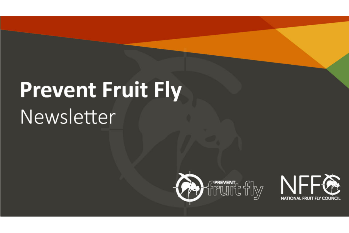 Prevent Fruit Fly Newsletter – Edition 4 November/December 2024 image
