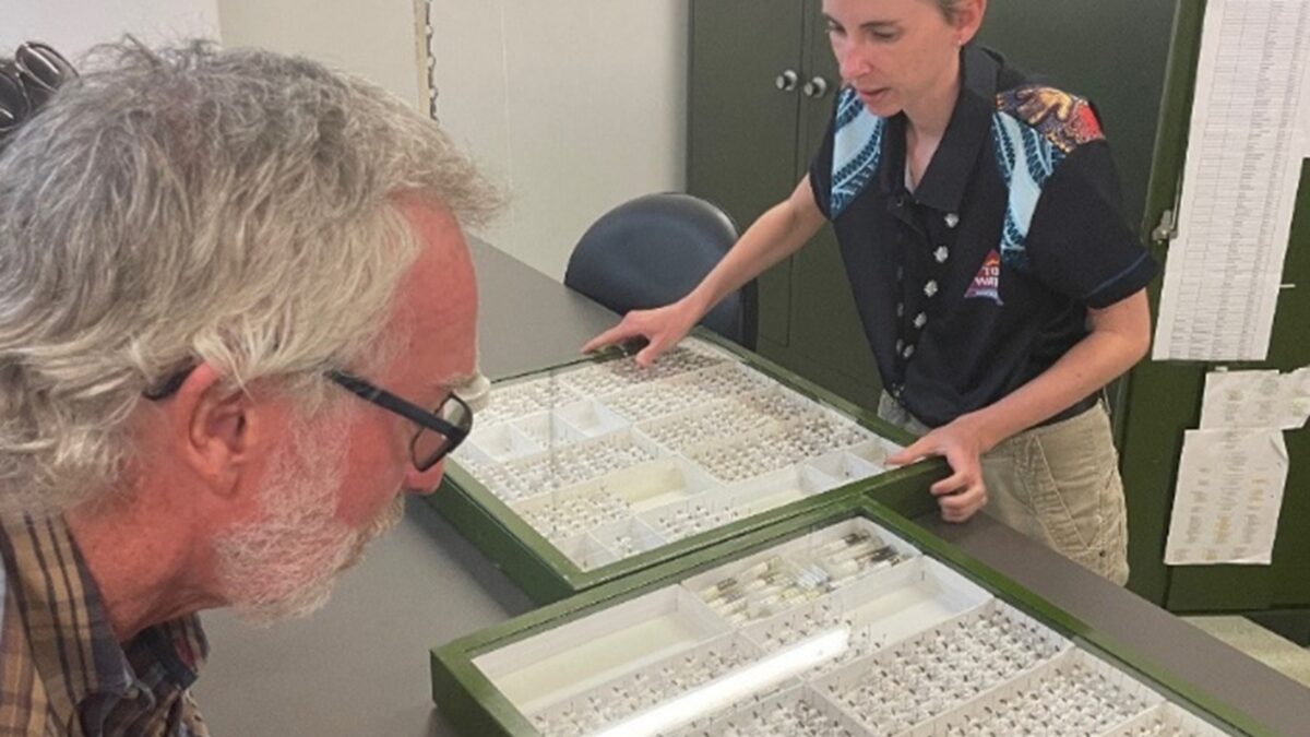 National Fruit Fly Council Visits Mareeba and Far North Queensland image