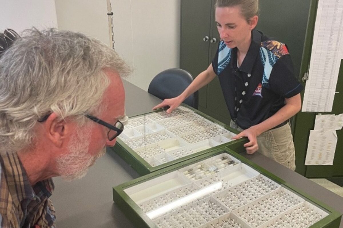 National Fruit Fly Council Visits Mareeba and Far North Queensland image