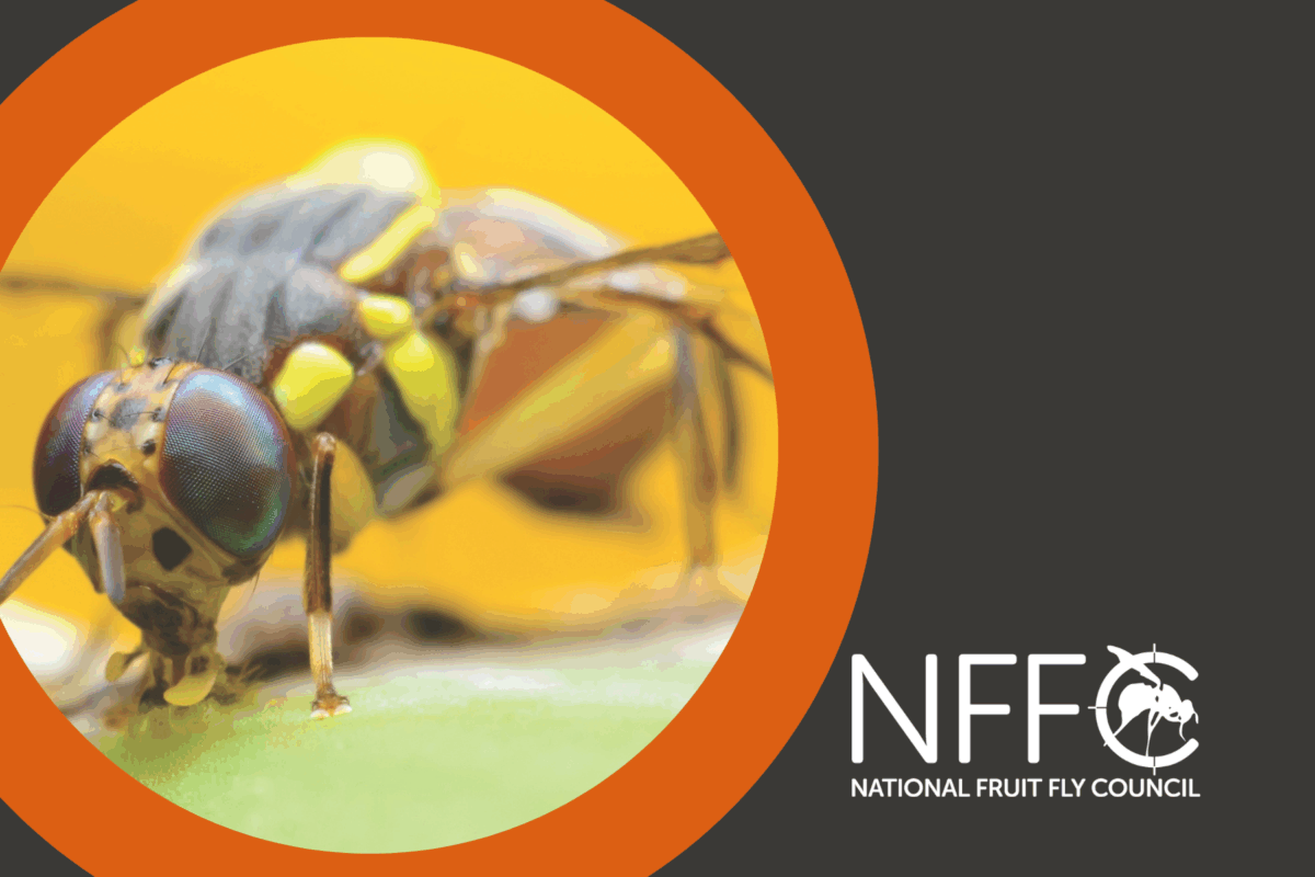 National Fruit Fly Strategic Review update image