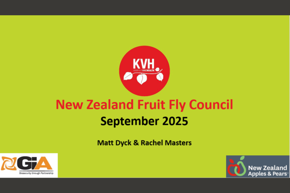 NFFC welcomes New Zealand delegation to Brisbane image